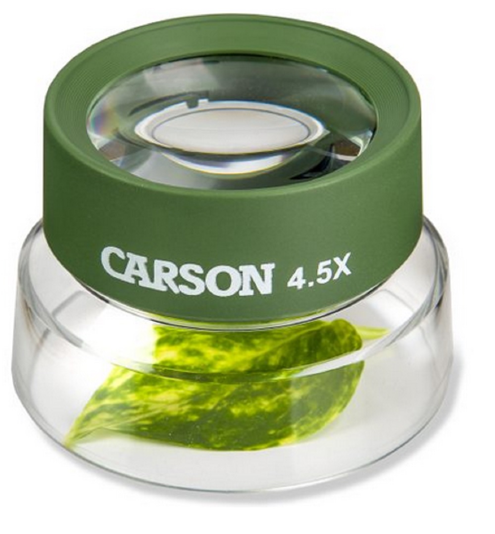 Carson BugLoupe™ 4.5x Power Pre-Focused Stand Magnifier Loupe
