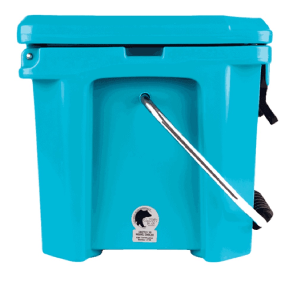 Grizzly 20 quart Cooler in Teal