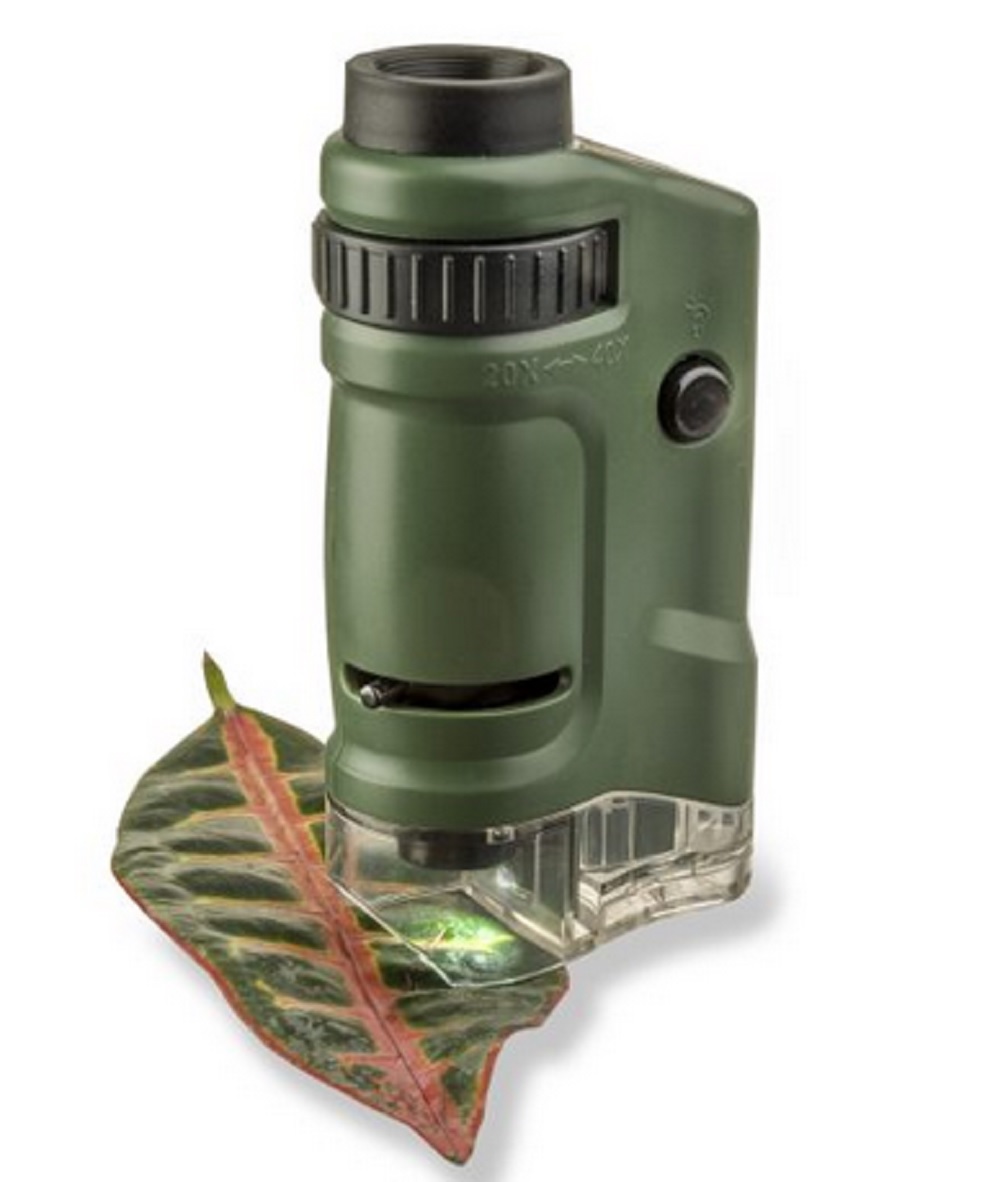 MicroBrite™ 20x-40x LED Lit Pocket Microscope with Slides and Base