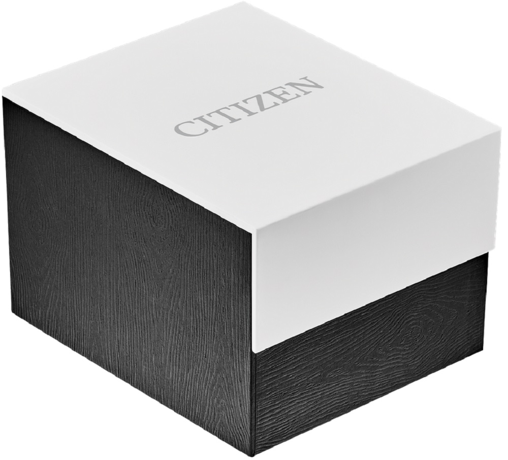 Citizen Mens Stainless Steel Quartz Watch